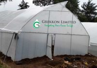 Greenhouse Construction in Kenya