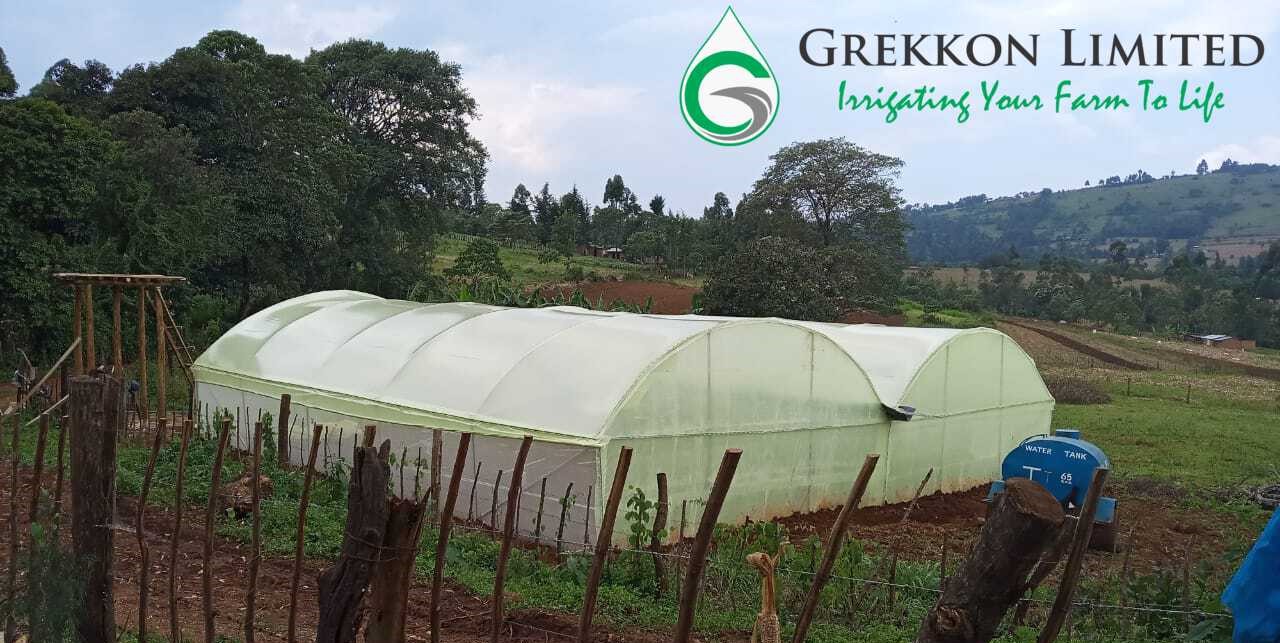 Greenhouse construction cost in Kenya