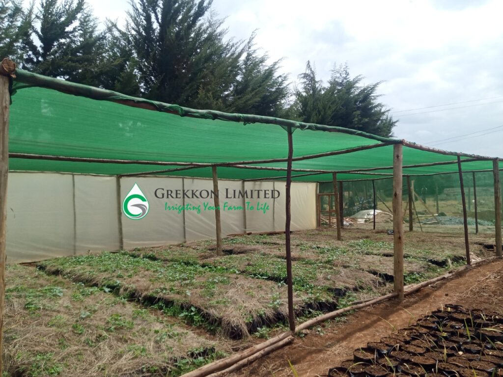 green shade netting for nursery seedlings