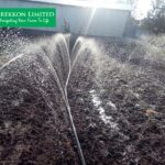 rain hose irrigation