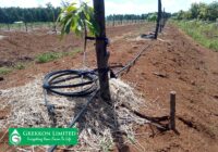 Irrigation equipment supplier in Kenya