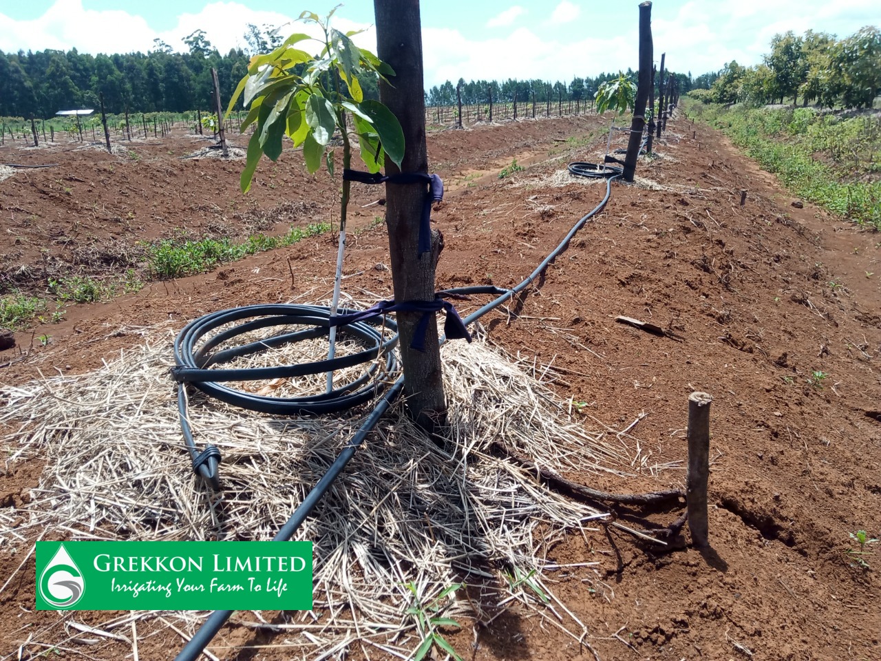 Irrigation Equipment Supplier in Kenya